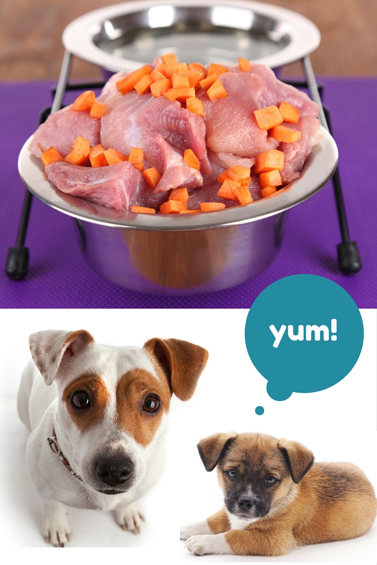 is a raw diet safe for dogs