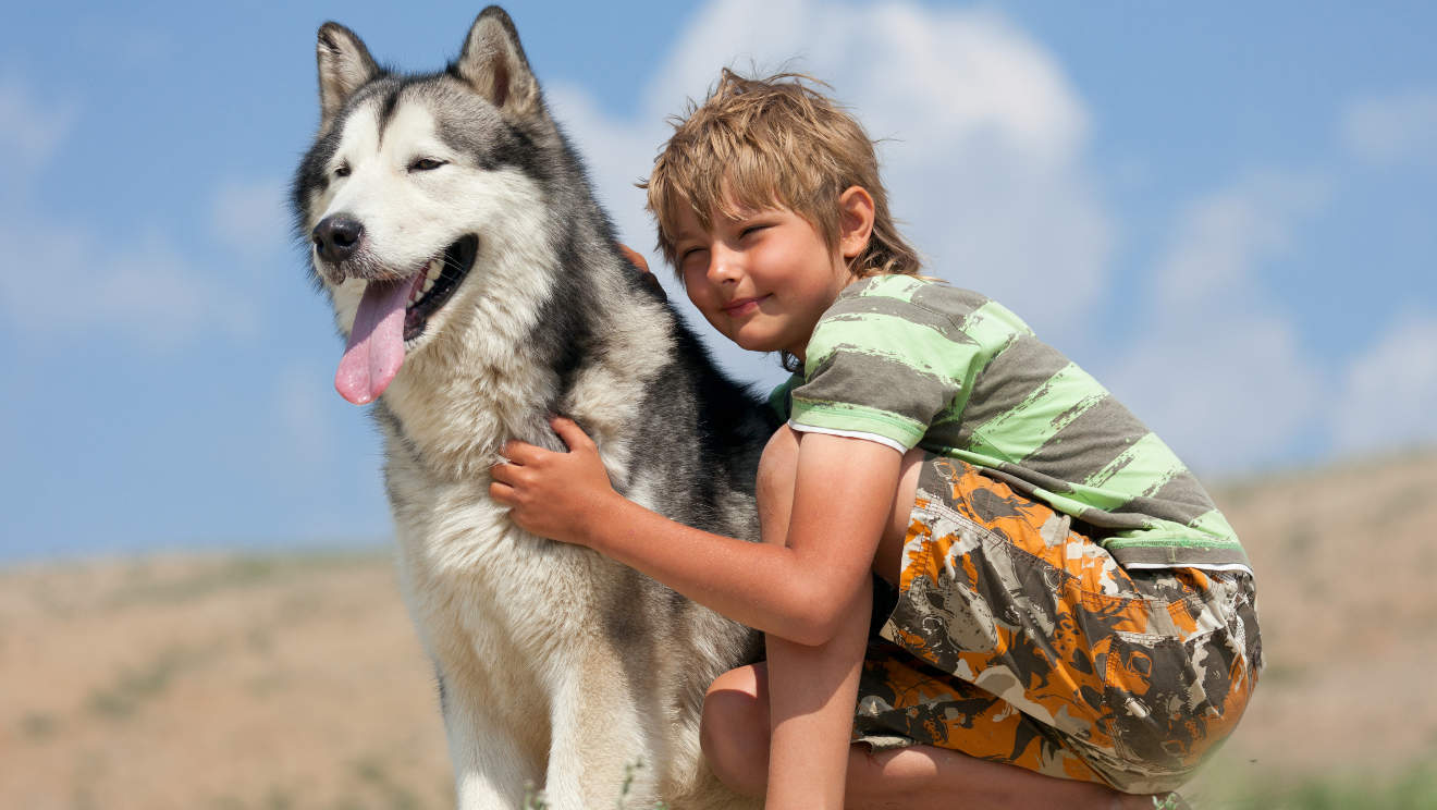 husky maikaʻi me nā keiki ma ka pūnaewele -