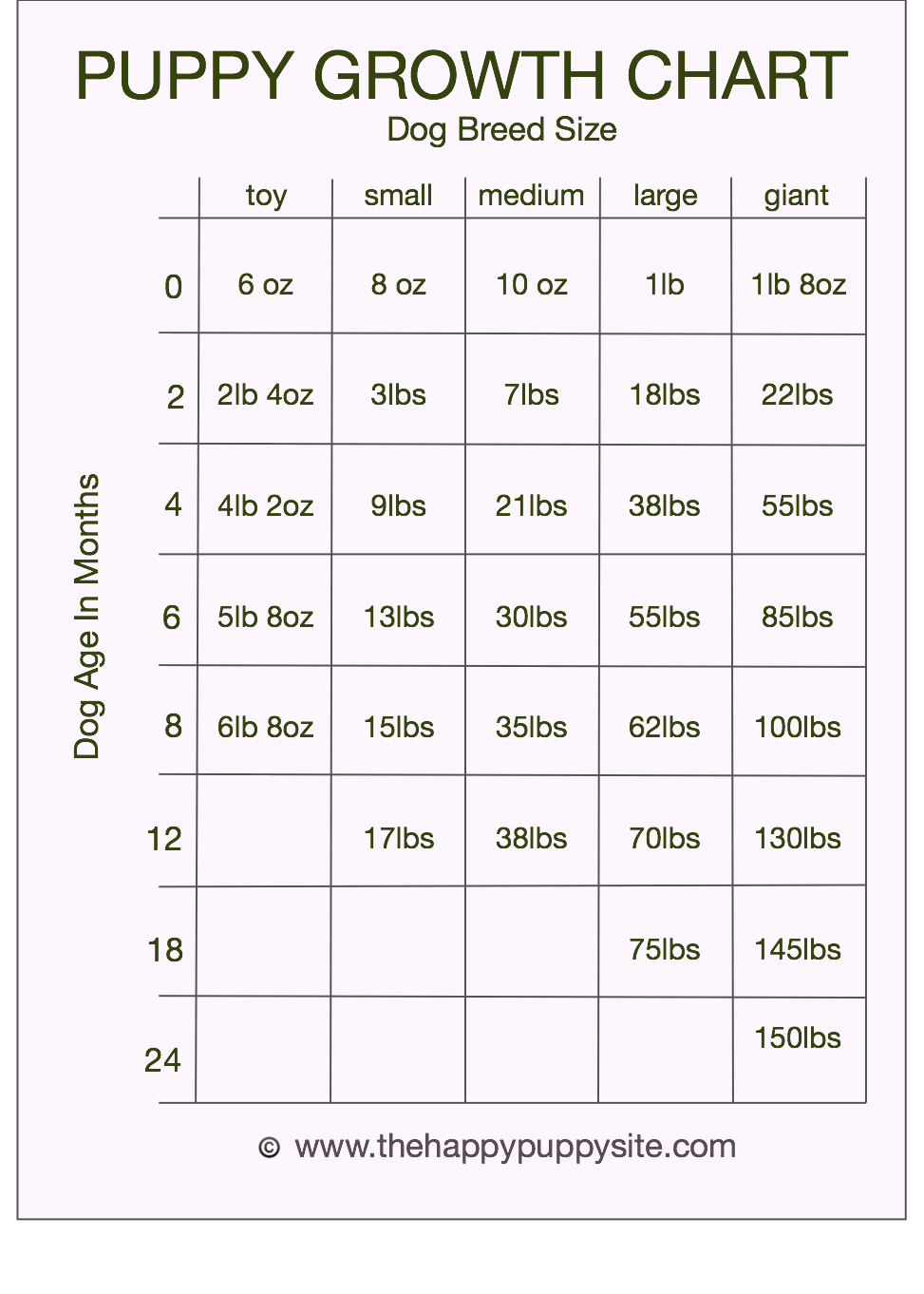 Chihuahua Puppy Size Chart