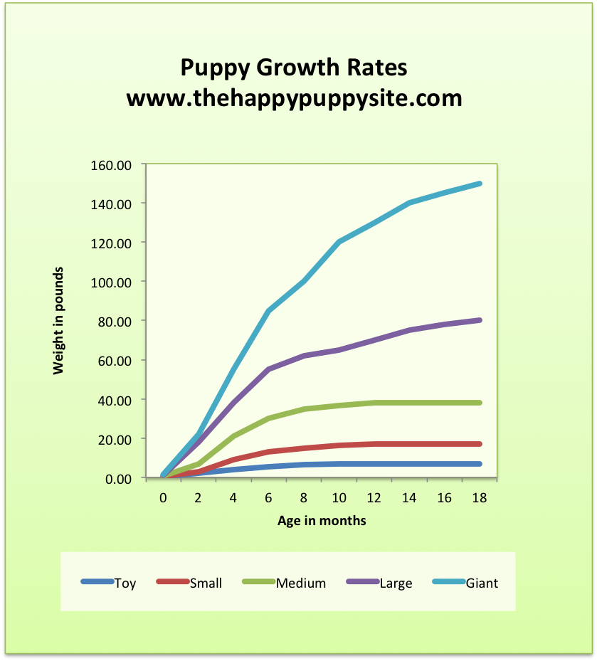 How Big Will My Puppy Get Chart