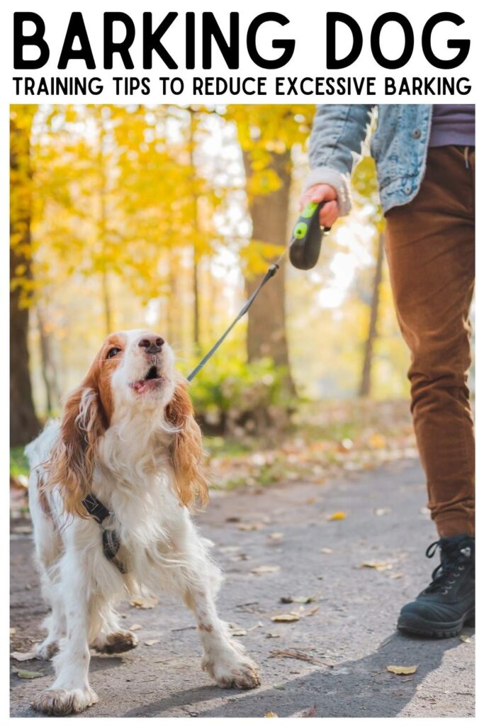 photo of a barking dog on a leash in a country lane