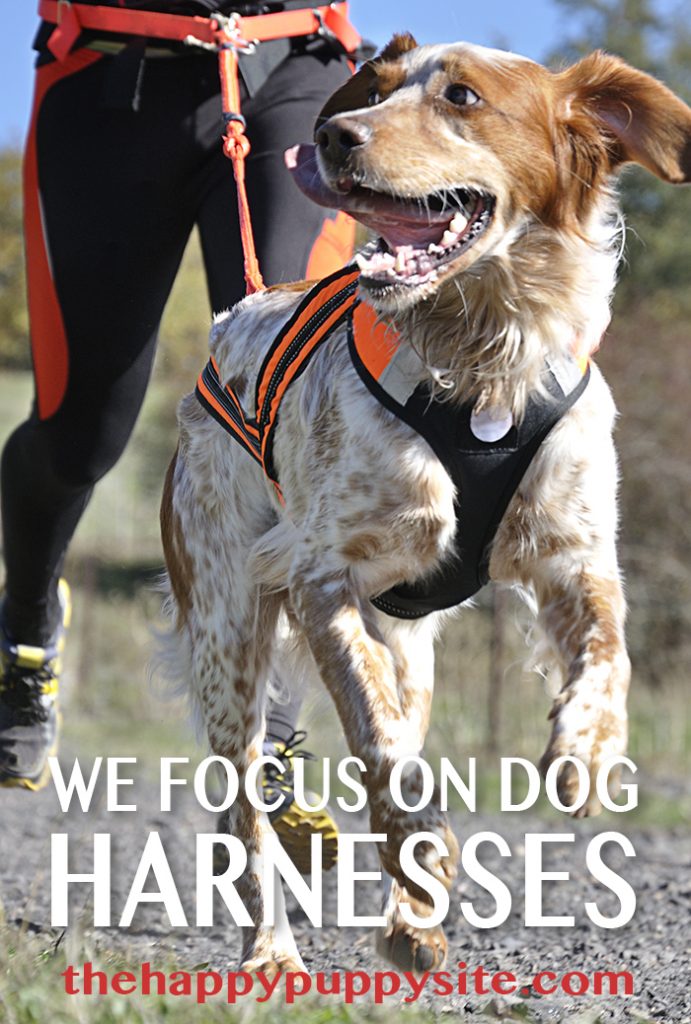 Dog Harness Do You Need One? The Happy Puppy Site