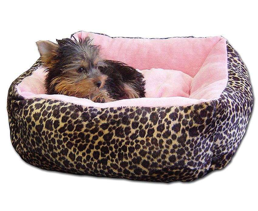 Best Puppy Beds For Your Sleepy Little Dog The Happy Puppy Site