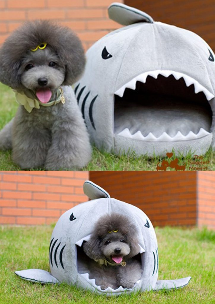 Best Puppy Beds For Your Sleepy Little Dog The Happy Puppy Site