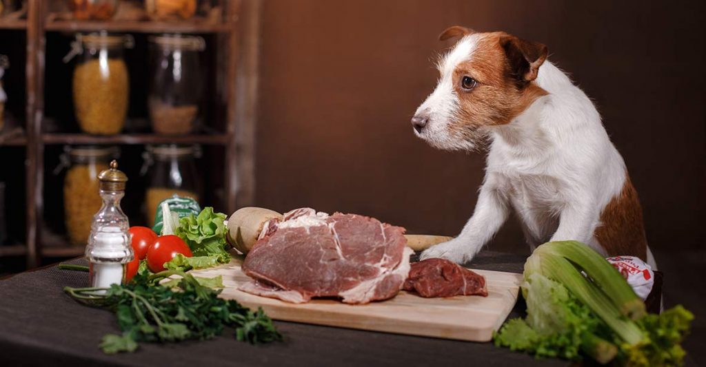 can you feed dogs raw chicken mince