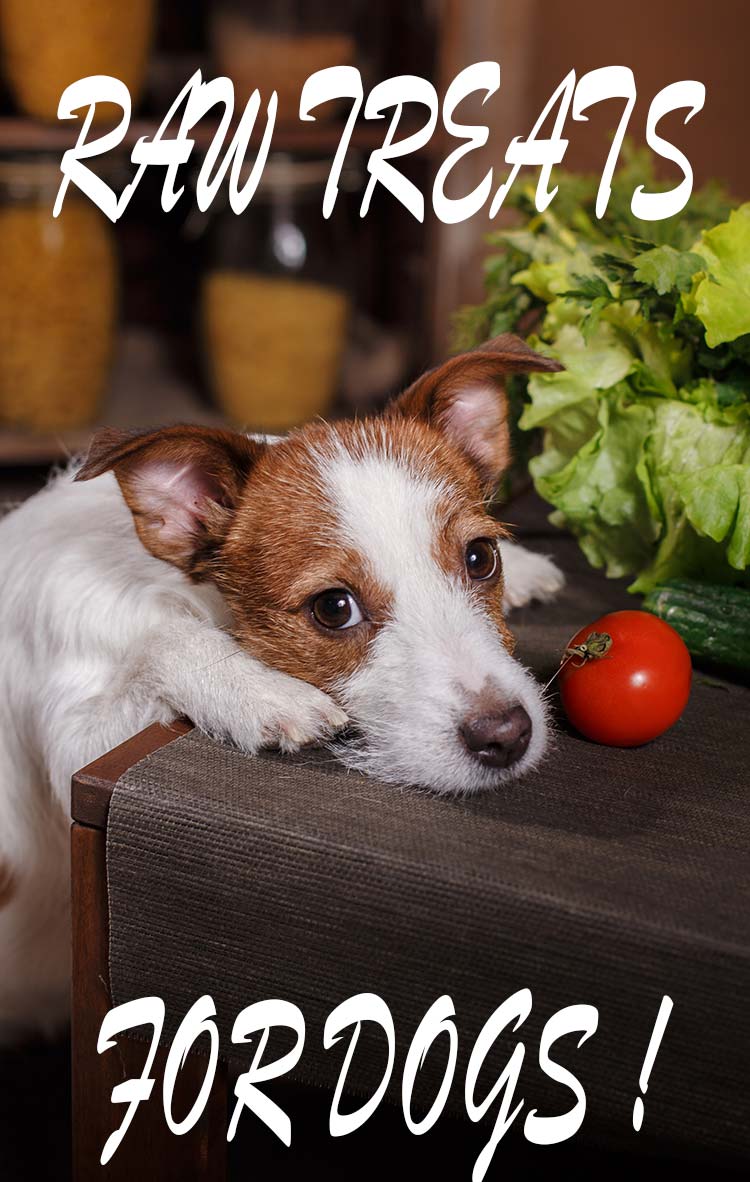 We help you find raw treats for dogs - great ideas for training treats
