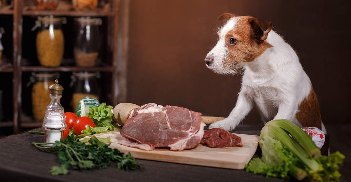 feeding raw pork to dogs