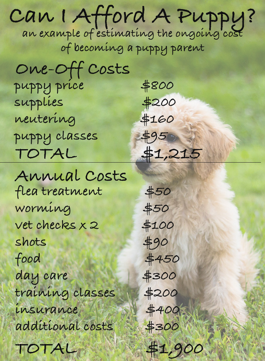 how much does it cost to care for a dog