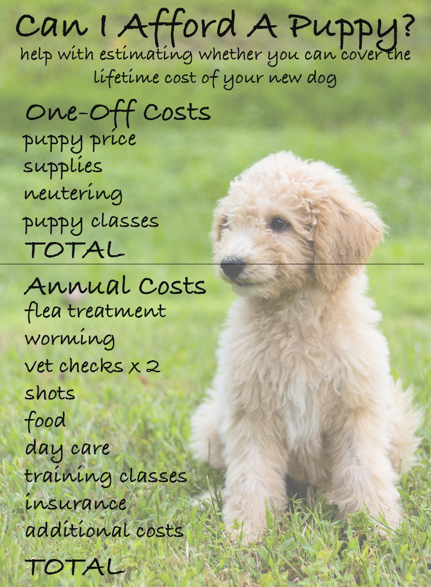 how much does a dog cost?