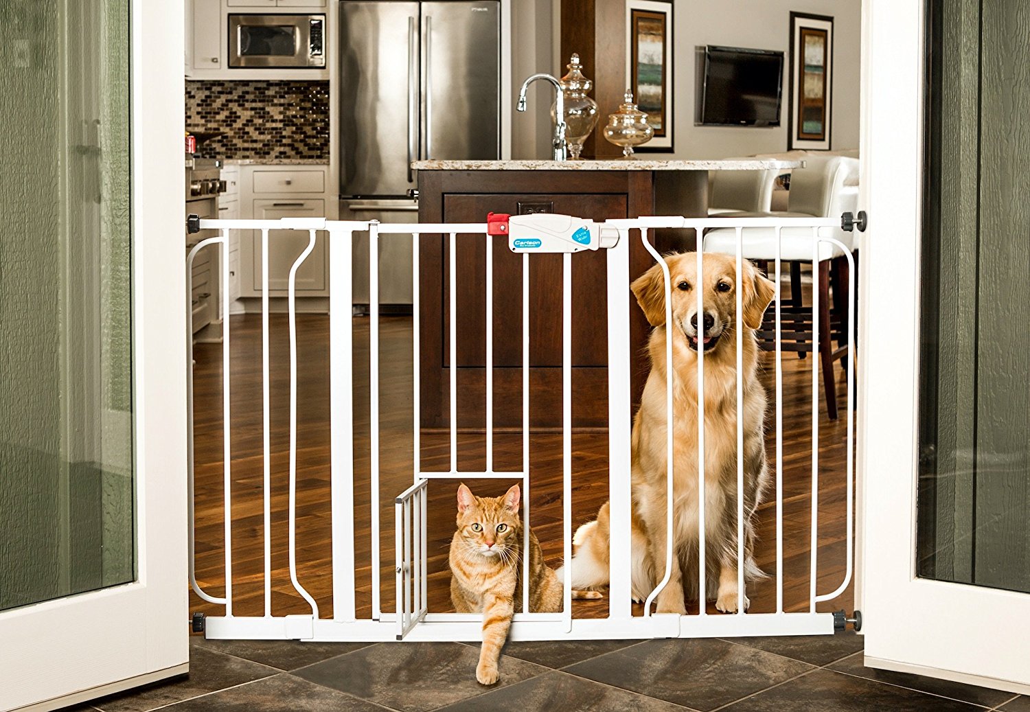 baby gates for cats and dogs