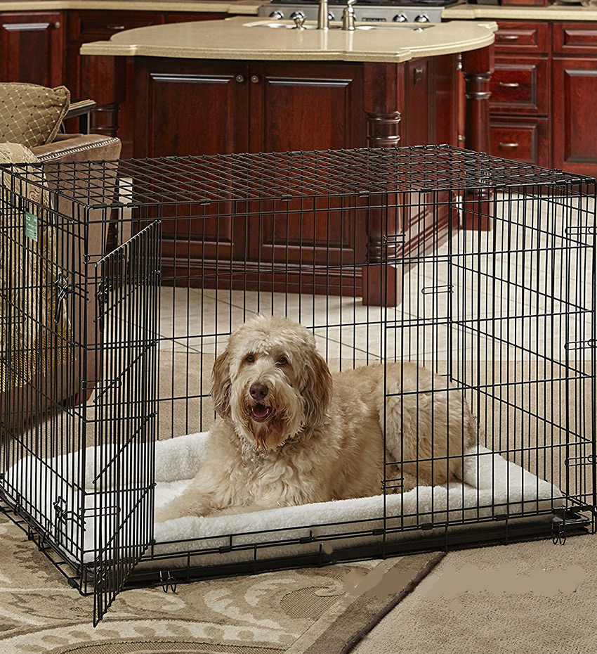 how long can u leave a dog in a crate