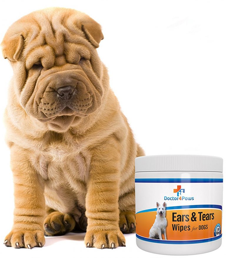 Dogs With Wrinkles A Guide To Caring For Wrinkly Dogs The Happy