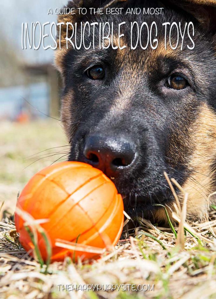 Best Indestructible Dog Toys A Complete Guide With Tips And Reviews
