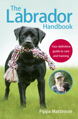 labrador handbook by pippa mattinson