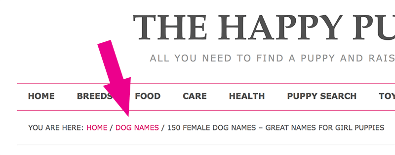 Cool Girl Names For Dogs