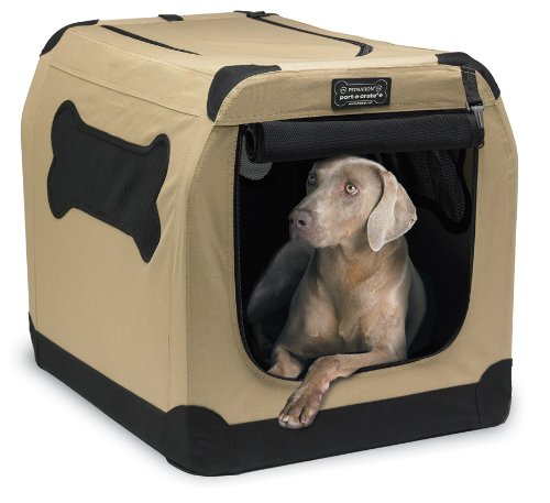 Fenzi Dog Sports Academy - LS135: Crate Training Dogs: Happy Crating for  Life