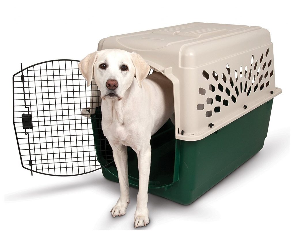 Fenzi Dog Sports Academy - LS135: Crate Training Dogs: Happy Crating for  Life