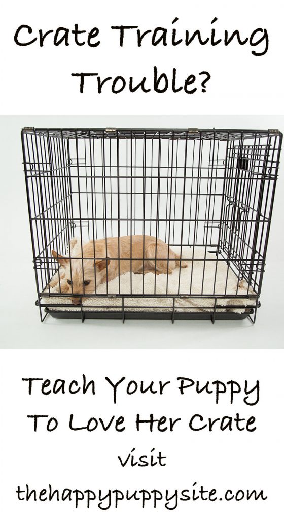 Crate Training your new puppy. Full Guide! — Joley Aire