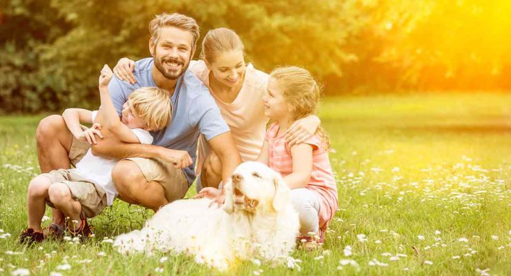 good-family-dogs-a-complete-guide-to-choosing-your-family-pet