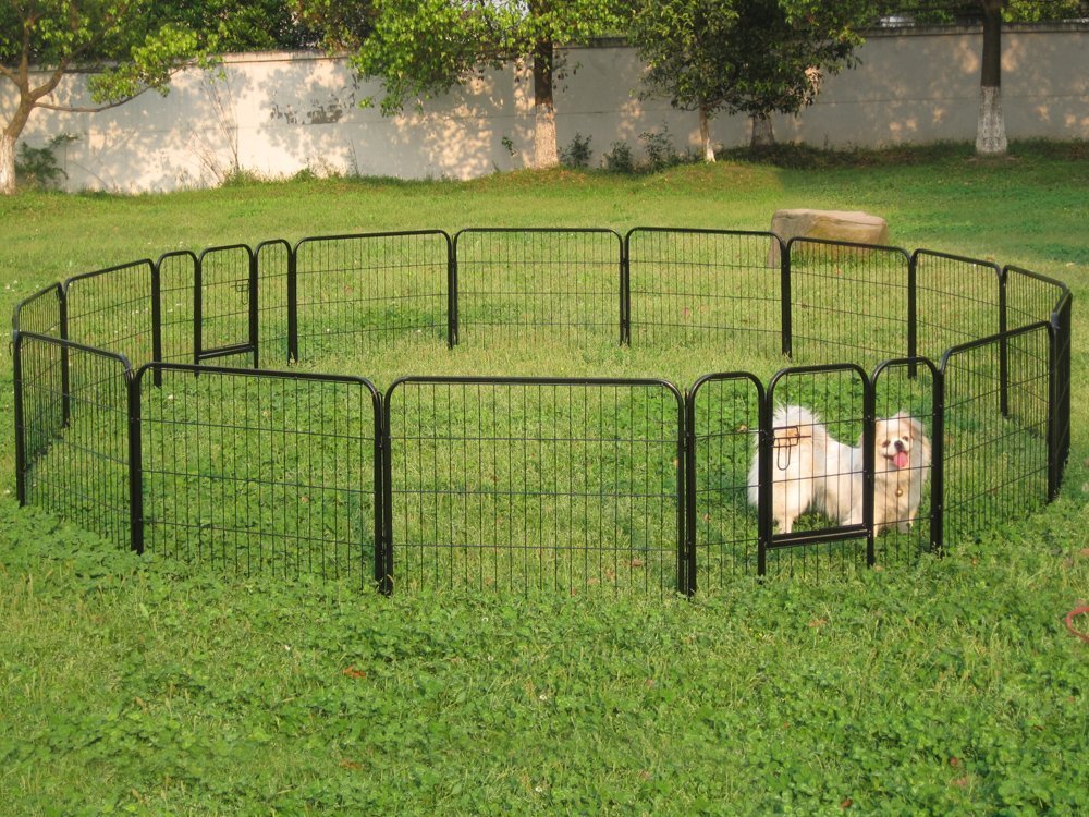 outdoor puppy pen