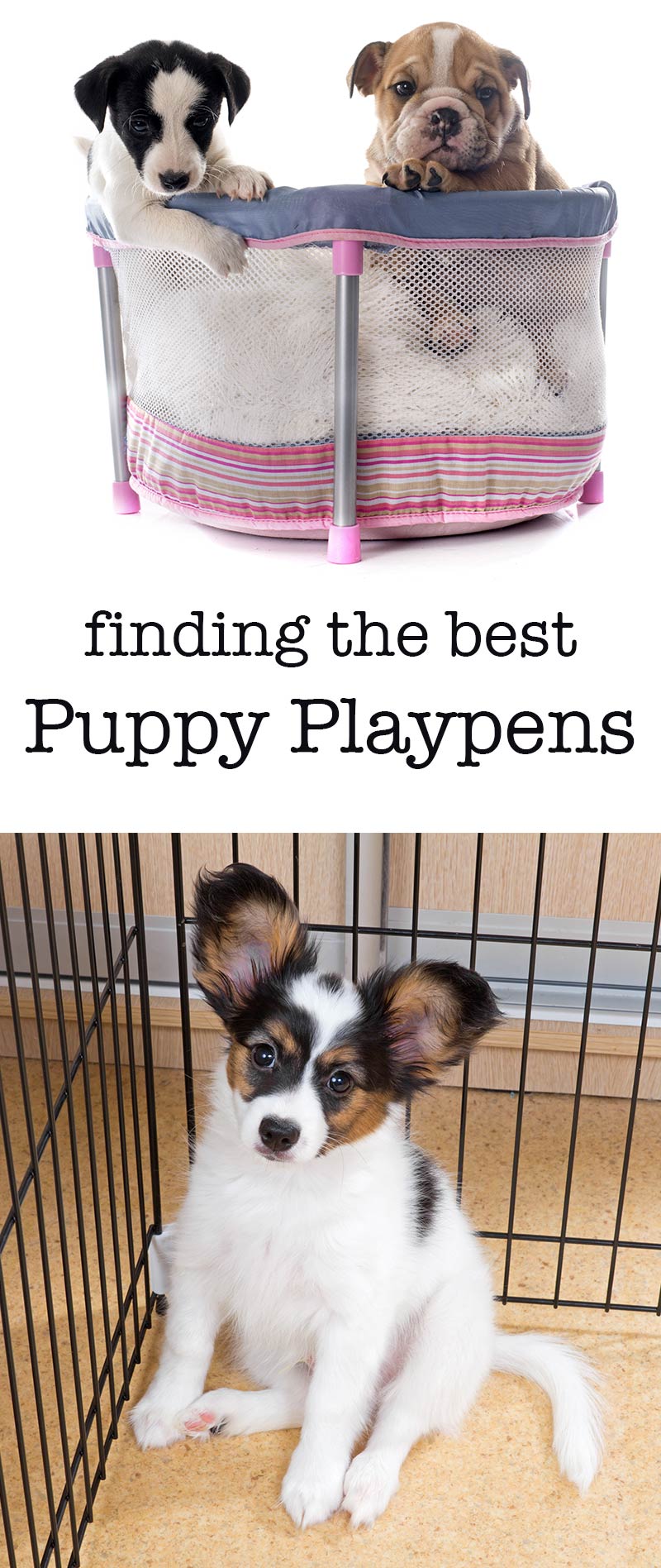 are dog play pens a good idea