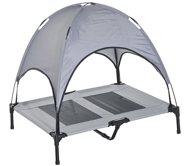 Best Raised Dog Beds