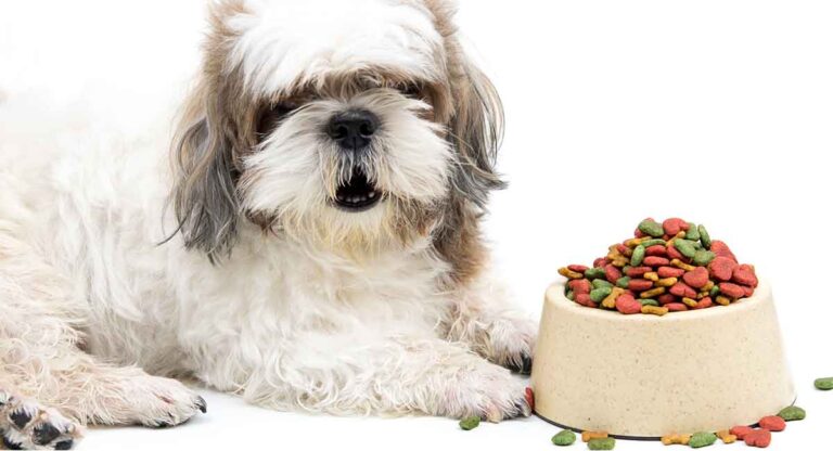 Best Dog Food For Shih Tzu Puppies, Adults And Seniors