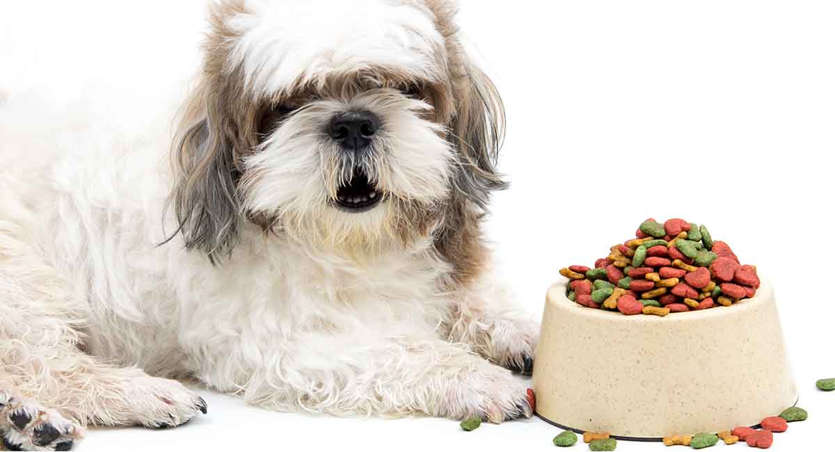 Best dog food for store shih tzu puppy philippines