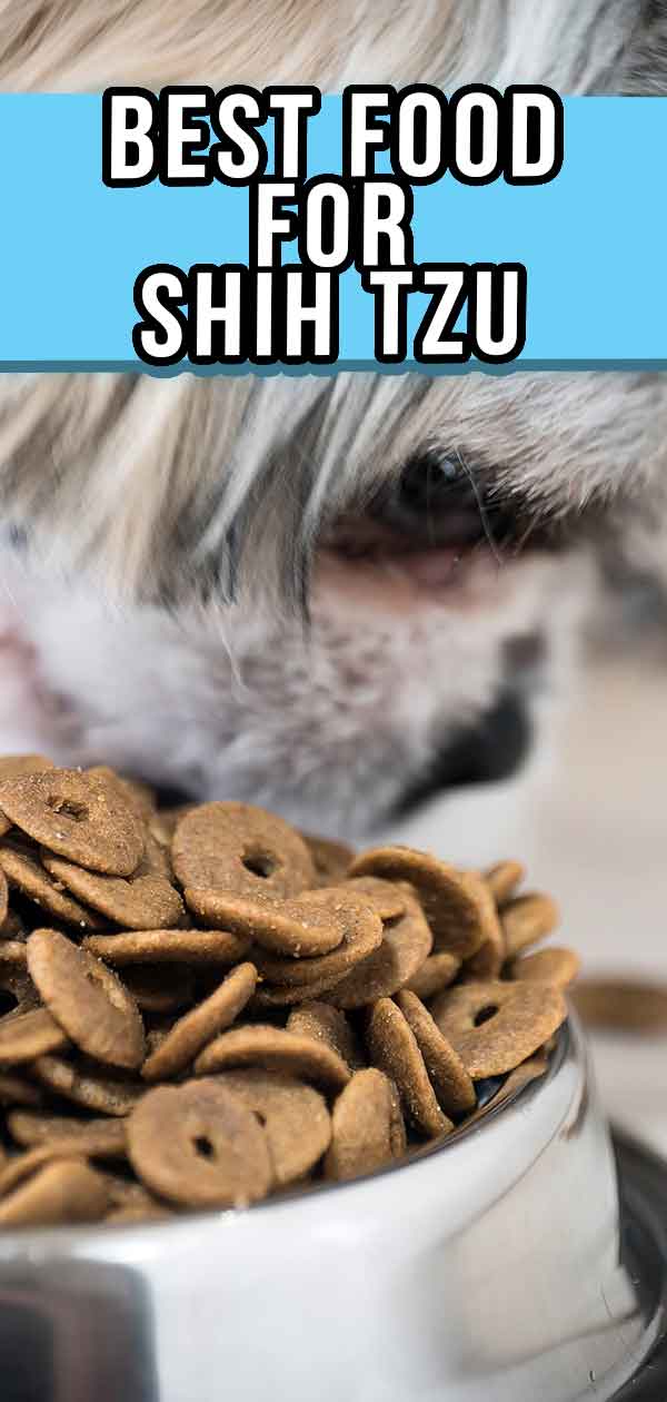 Best Dog Food For Shih Tzu Puppies, Adults, And Senior Dogs