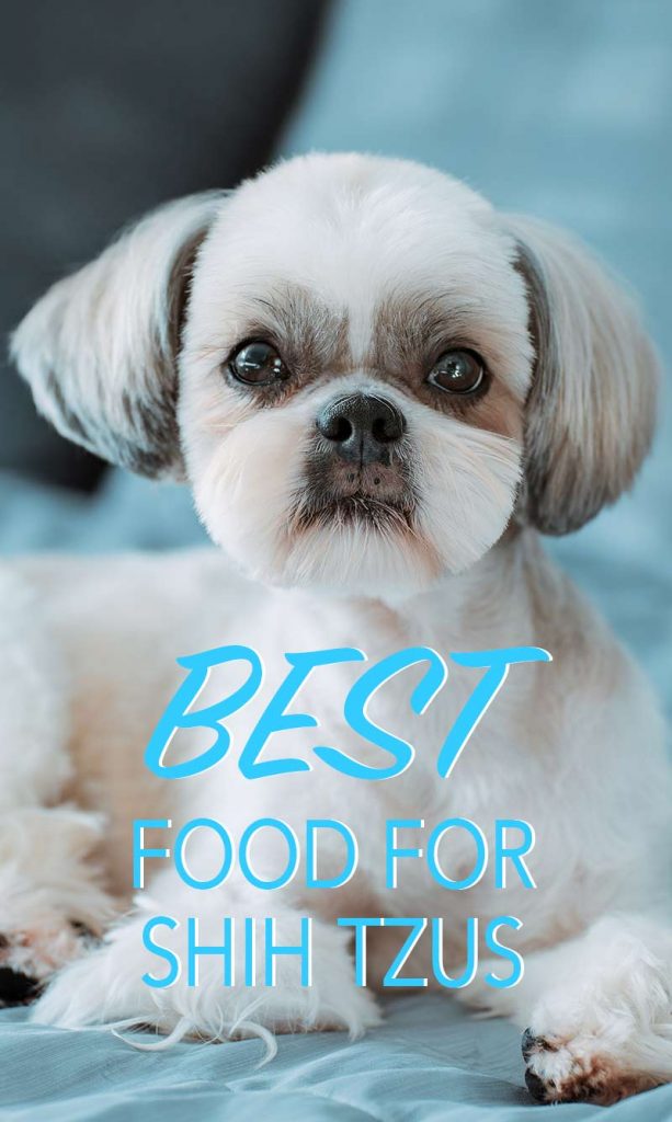 Best Dog Food For Shih Tzu Puppies, Adults And Seniors