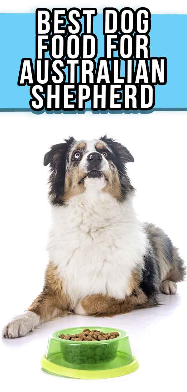 beste voer voor australian shepherd