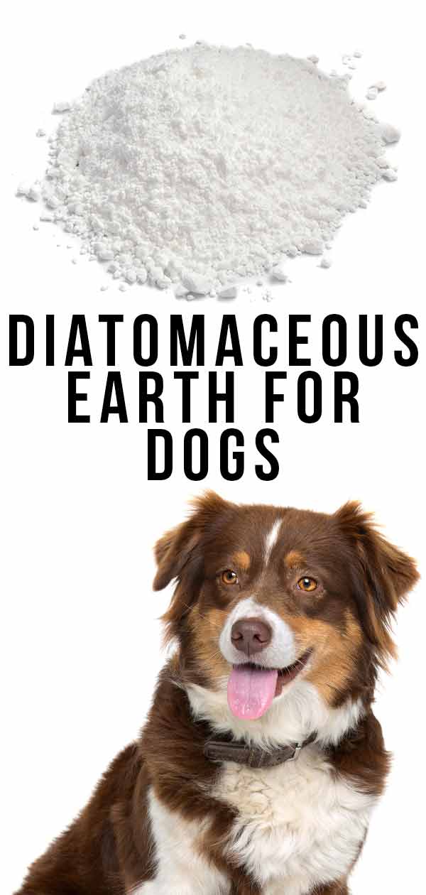 Diatomaceous Earth For Dogs HP tall