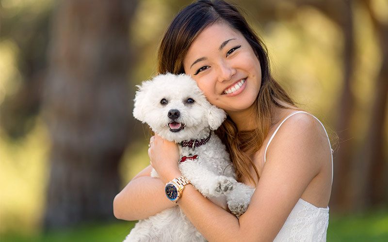 maltese poodle hypoallergenic