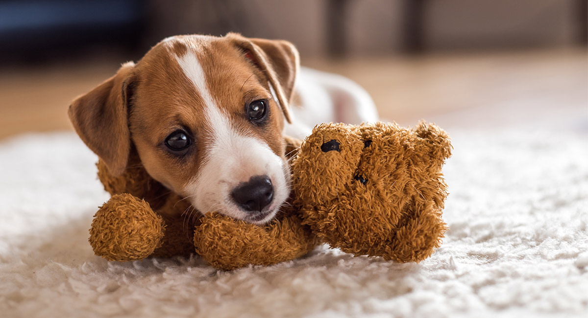 dog and puppies toy