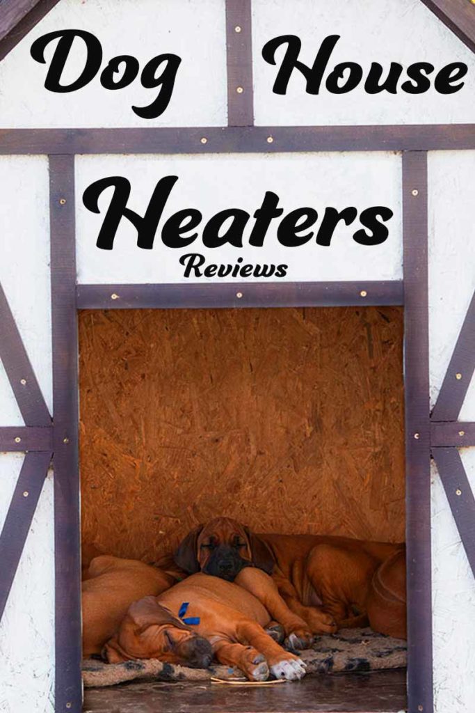Guide To The Best Indoor And Outdoor Dog House Heater Options