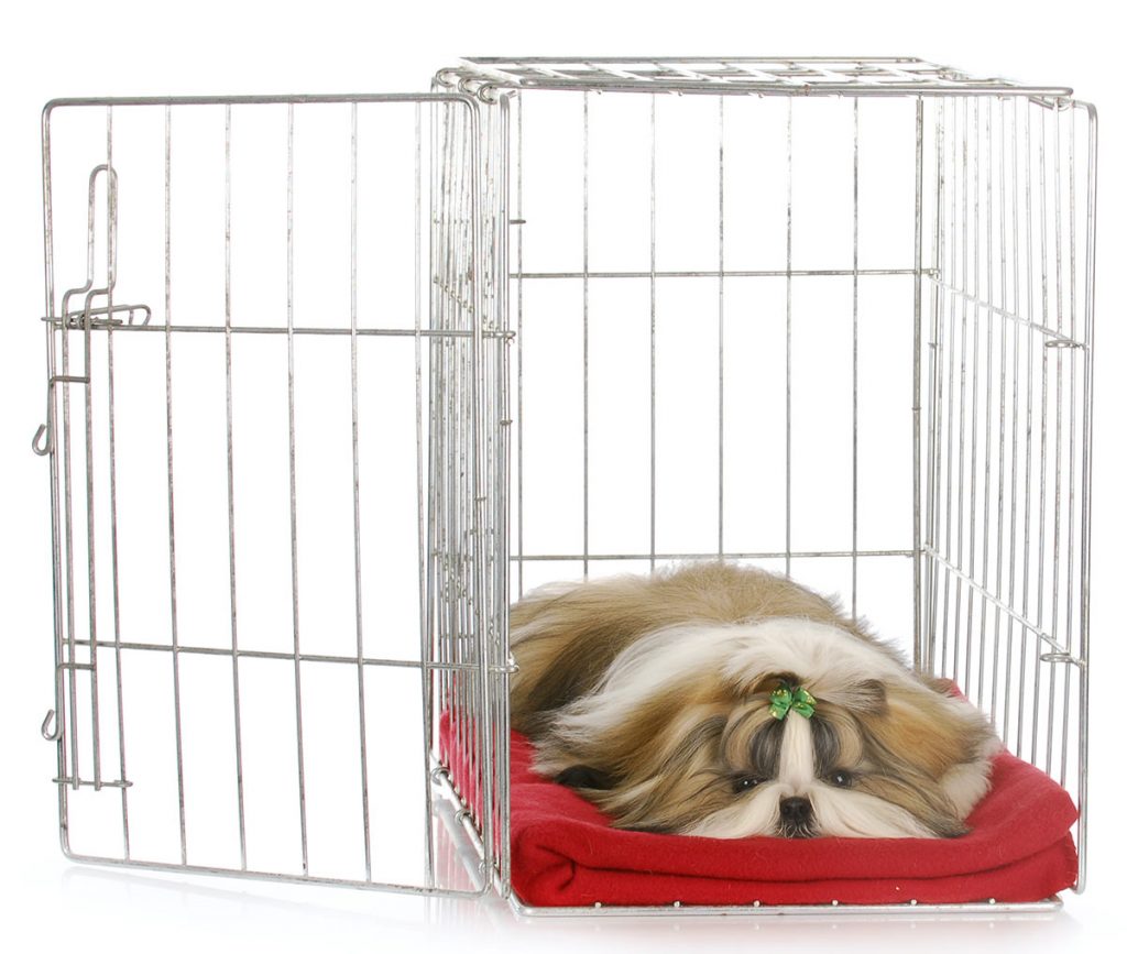 Best Dog Crate Covers The Best Ways To Make Your Dog's Den Snug