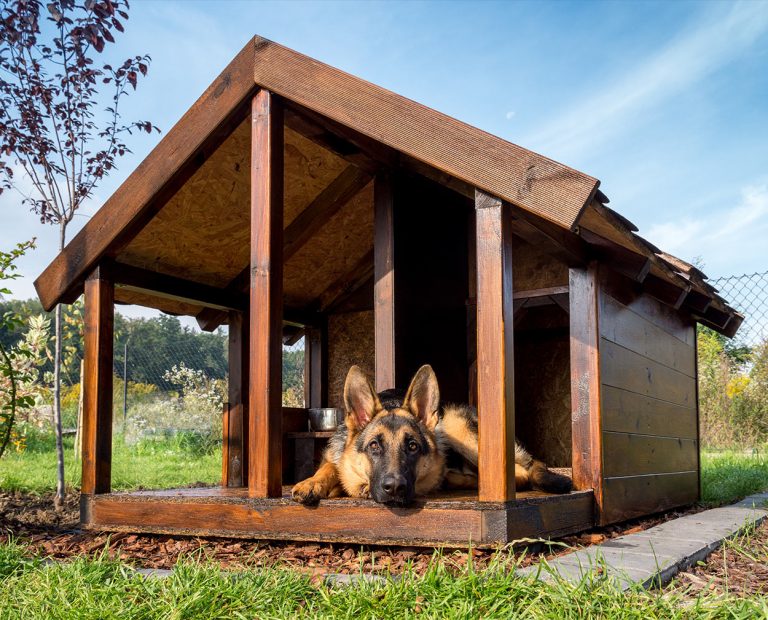 Guide To The Best Indoor And Outdoor Dog House Heater Options