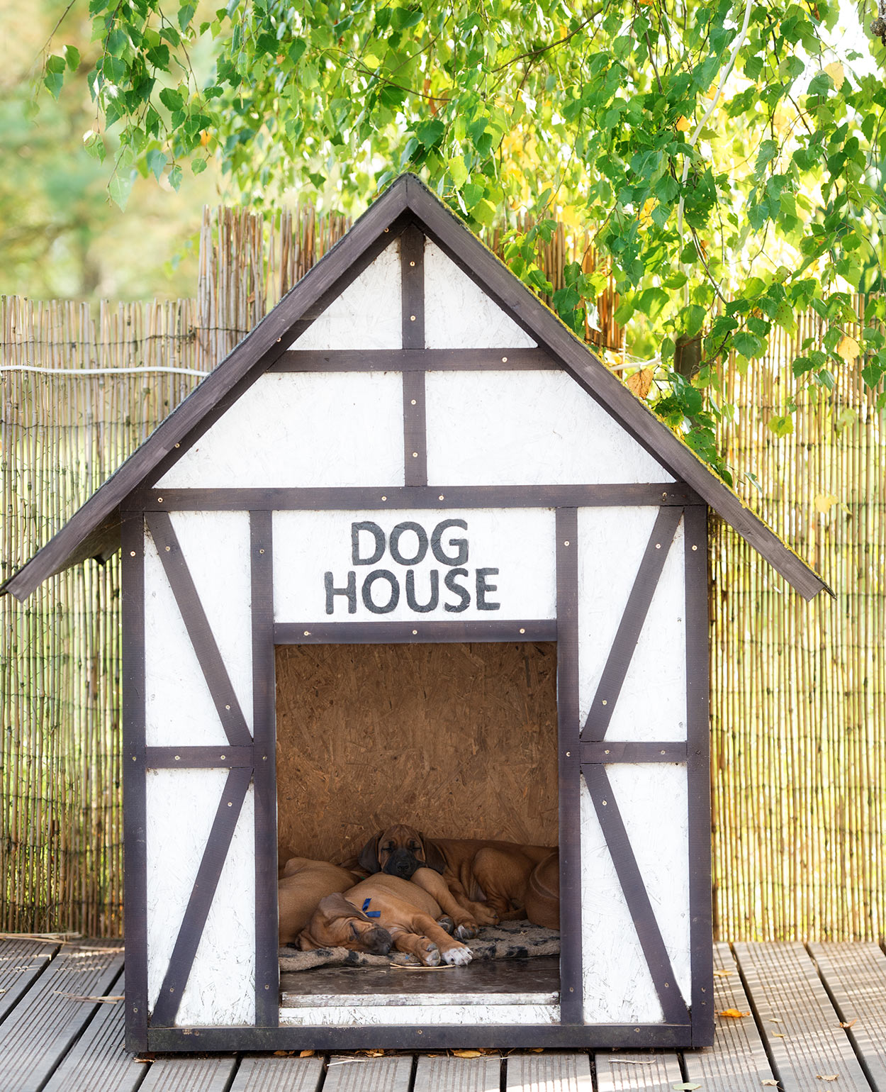 heated outdoor dog kennel