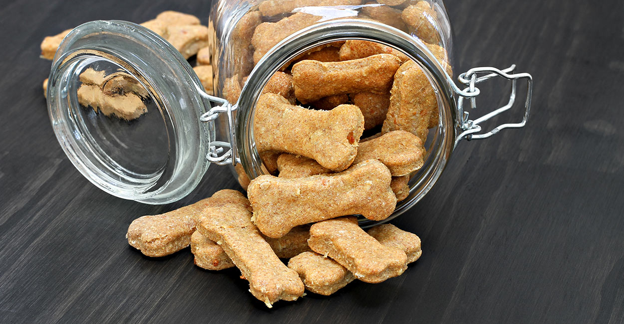 Your Dog Food Container Buyers' Guide Top Options For Pet Owners