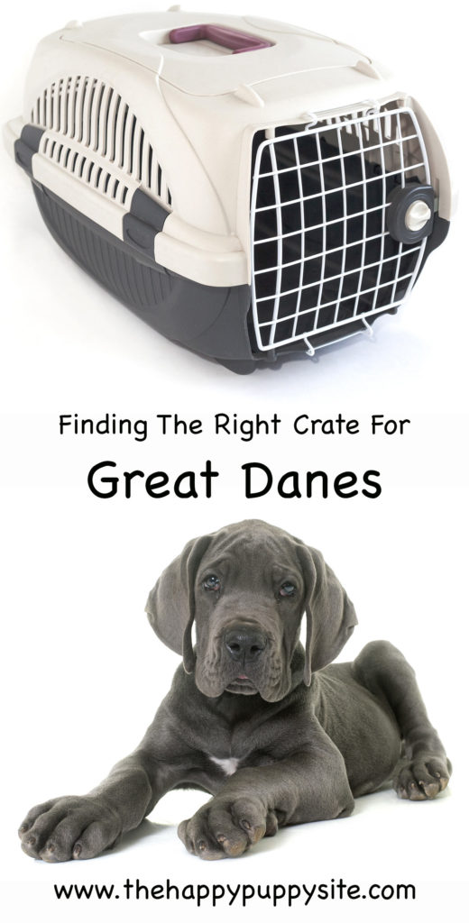 The Very Best Great Dane Crates For Your Giant Dog Breed