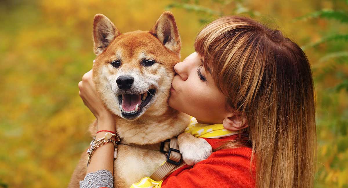 Do Dogs Like Kisses What Your Pet S Behavior Might Be Telling You