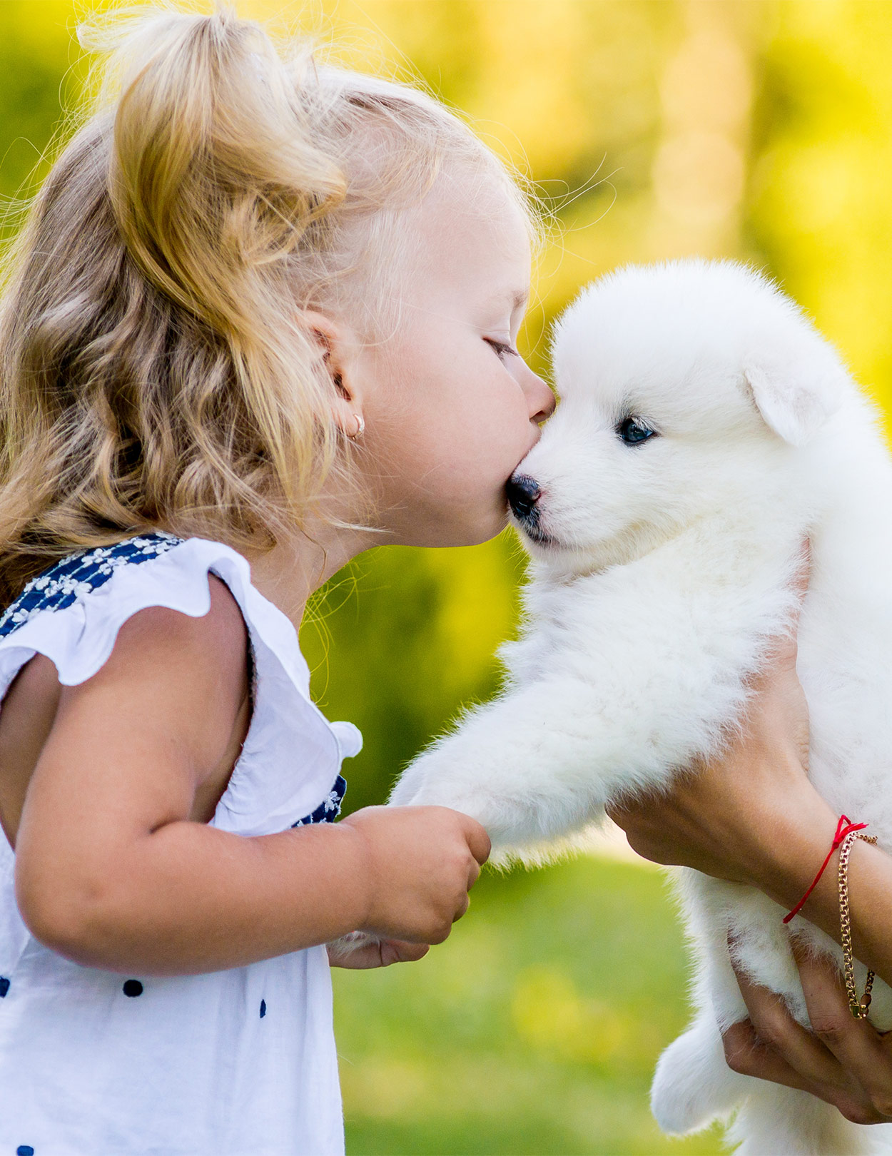 Do dogs like kisses from humans?