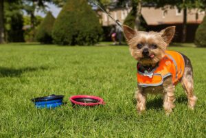 yorkie hi vis jas