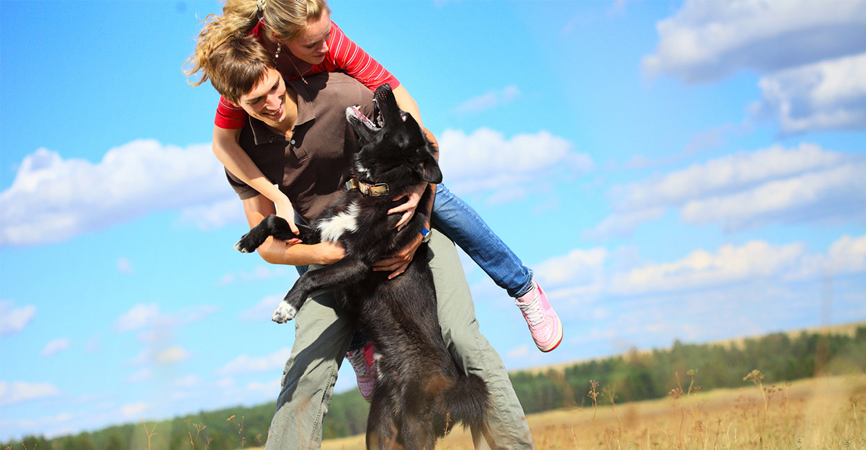 Dog Jumping Up On People