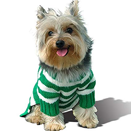 yorkie kleding