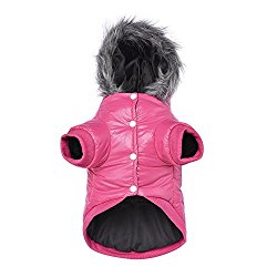 dog coats for small dogs