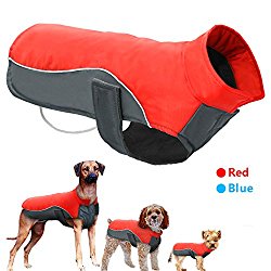 great and small dog coats