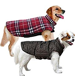 toy dog coats
