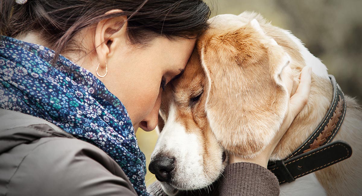 Pet Loss Quotes To Help You Through The Toughest Of Times