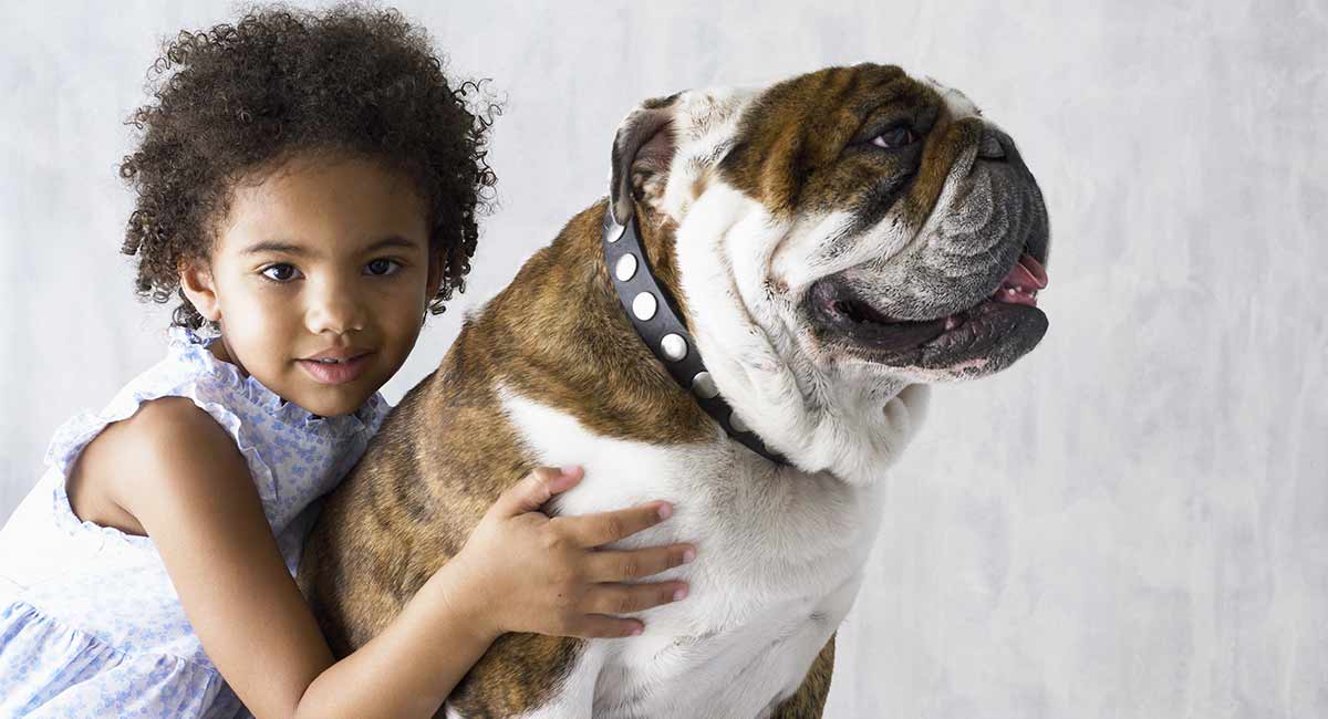 are english bulldogs good with children